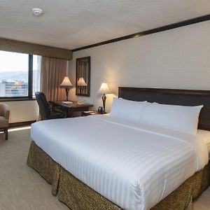 Habitación Estándar con Cama King